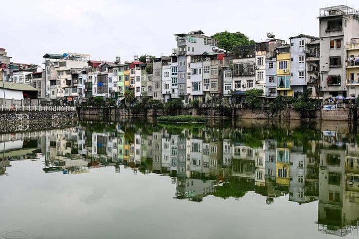 Tưởng thịt bò là 