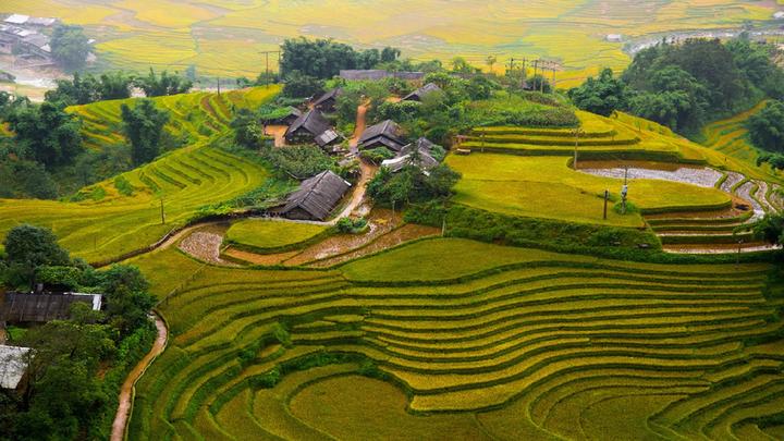 Hotspot Matrix: Biến Thông tin về tình đầu của thành cơ hội marketing đột phá