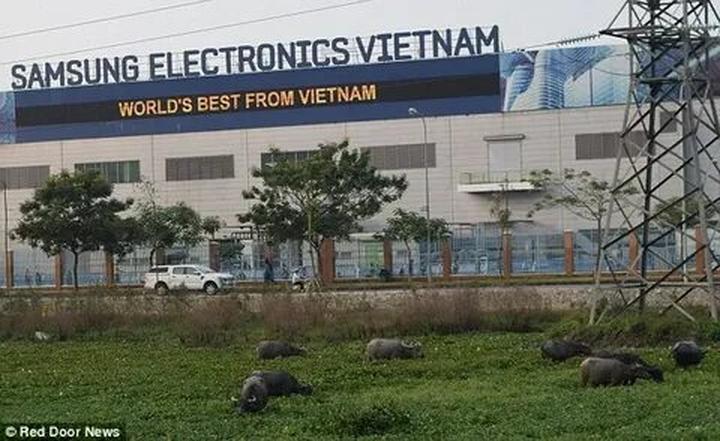 Từ 0 đến đỉnh cao: Bí quyết thành công của chiến dịch marketing nhờ Hotspot Matrix