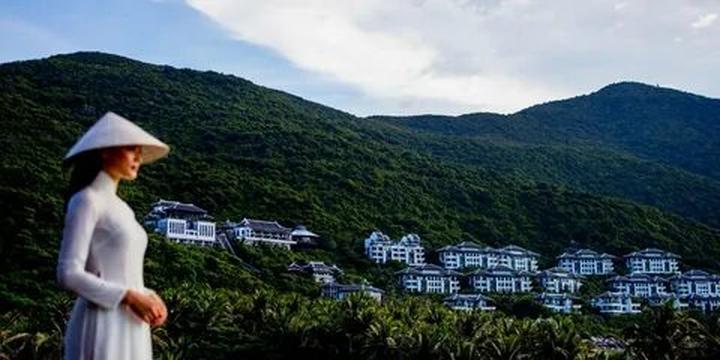 Bonobo: Nguồn Gốc Tiến Hóa Của Ngôn Ngữ Con Người?